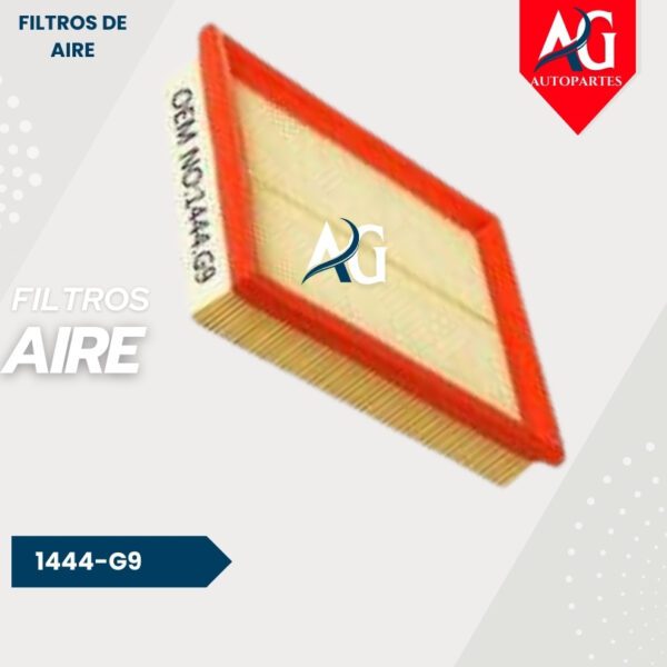 Filtro Aire  1444-G9 Peugeot 206