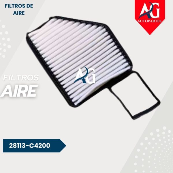 Filtro Aire  28113-C4200 Hyundai Athos
