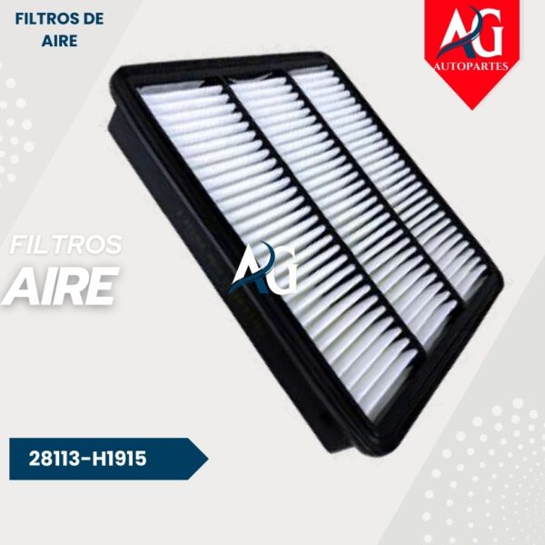 Filtro Aire  28113-H1915 Hyundai Terrecan