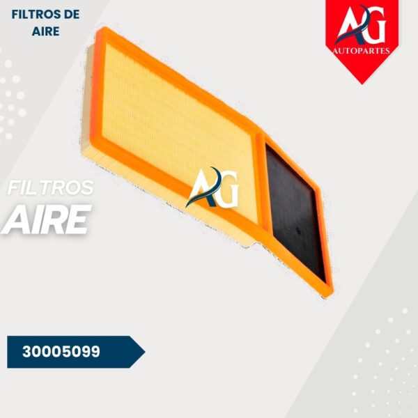 Filtro Aire  30005099 Morris Garage